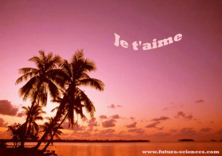 je t'aime